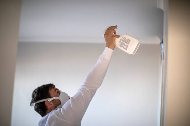 Best Office Mold Removal Services  in Coloma, MI
